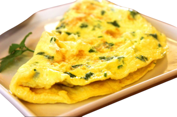 SANTA FE OMELETE